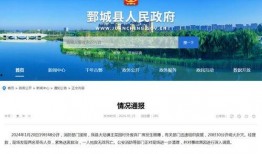 记者最新爆料事件新闻评论,事件最新进展引发社会广泛关注