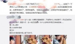 网友爆料狗狗被扎死了视频,无辜生命被残忍扎死